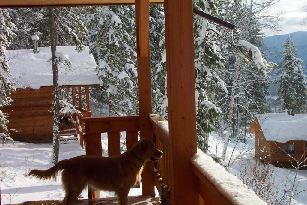 Alexa Chalets -Timber Inn & Restaurant Parson Kamer foto